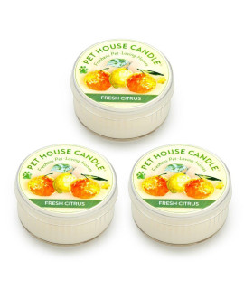 One Fur All Pet House Mini Candle Set, Pack Of 3 - Fresh Citrus - Pet Odor Eliminator Candle, Burn Time - 10-12 Hours Pet Candle, Non-Toxic, Ideal For Smaller Spaces