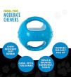 HERO | Squeakables Kettle Ball |Dog Toys | Puppy Toys | Pet Toys | Medium, 5 Inches (Blue)