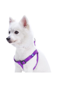 Blueberry Pet Essentials Classic Durable Solid Nylon Step-In Dog Harness, Chest Girth 26 - 39, Dark Orchid, Large, Adjustable Harnesses For Puppy Boy Girl Dogs