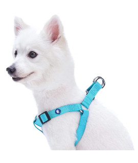 Blueberry Pet Essentials Classic Durable Solid Nylon Step-In Dog Harness, Chest Girth 26 - 39, Turquoise, Large, Adjustable Harnesses For Puppy Boy Girl Dogs