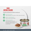 Royal Canin Digest Sensitive Thin Slices in Gravy Wet Cat Food, 3 oz cans 6-count