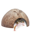 Niteangel 2 Pack Natural coconut Reptile Hideouts, Lizard, Spider and Aquarium Fish Hide cave (Smooth Surface)