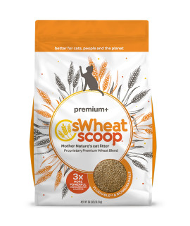 sWheat Scoop Wheat-Based Natural cat Litter Premium+ 36 Pound Bag