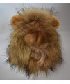 PenVinoo Lion Mane Wig for Dog and Cat Costume