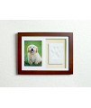 Tiny Ideas Dog or Cat Paw Print Keepsake Wall Frame Kit