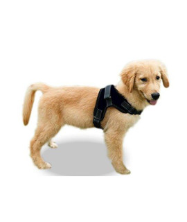 Copatchy No Pull Reflective Dog Harness (Small, Black)