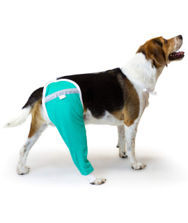 After Surgery Wear Hip And Thigh Wound Protective Sleeve For Dogs Dog Recovery Sleeve Recommended By Vets Worldwide (X-Small, Teal Green)