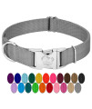 country Brook Design - Vibrant 30+ color Selection - Premium Nylon Dog collar with Metal Buckle (Large, 1 Inch, Silver)