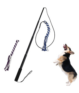 Ang Dog Flirt Pole,Extendable Dog Teaser Wand With 2 Replacement Chew Tail Rope,Interactive Dog Outdoor Toy For Training,Exercising(Black Small)