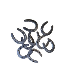 Carver's Olde Iron Zinc Mini Horseshoes (Perfect Holes) 50 pc Set Decoration and Crafts 2 x 1 3/4 w/Token
