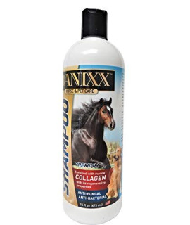 Banixx Medicated Anti-Fungal, Anti-Bacterial Shampoo