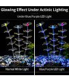 Uniclife Strip Coral Plant Ornament Glowing Effect Silicone Artificial Decoration for Fish Tank, Aquarium Landscape - Orange