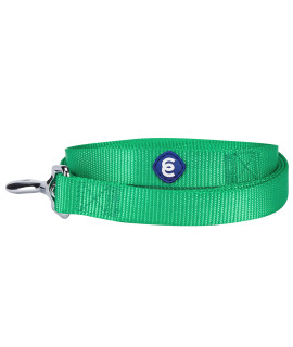 Blueberry Pet Essentials 21 Colors Durable Classic Dog Leash 5 Ft X 58, Emerald, Small, Basic Nylon Leashes For Dogs