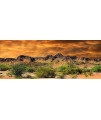 Reptile Habitat, Terrarium Background, Orange Desert Sky with Cactus - (Various Sizes) (21" H x 48" W)
