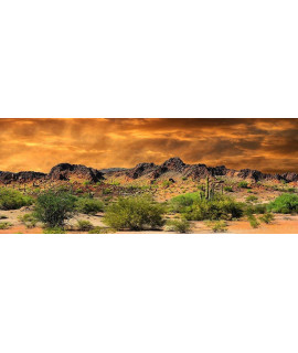 Reptile Habitat, Terrarium Background, Orange Desert Sky with Cactus - (Various Sizes) (21" H x 48" W)