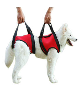Alfie Pet - Harrison Support & Rehabilitation Lifting Harness Front And Rear Set - Color: Red Size: Large