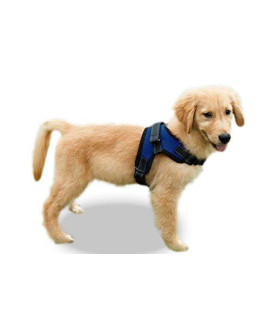 Copatchy No Pull Adjustable Reflective Dog Harness with Handle (Small, Blue)