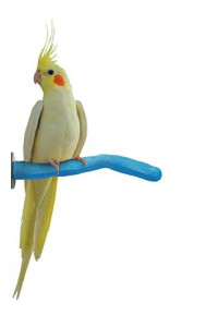 Sweet Feet and Beak Safety Pumice Perch Bird Toy - Trims Nails and Beak - Promotes Healthy Feet - Safe Non-Toxic Bird Supplies for Bird Cages - X-Small 5.25