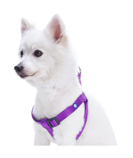 Blueberry Pet Essentials Classic Durable Solid Nylon Step-In Dog Harness, Chest Girth 20 - 26, Dark Orchid, Medium, Adjustable Harnesses For Puppy Boy Girl Dogs