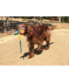 Foxtail Fetch Ball for Dogs - Easy to Throw Dog Fetch Toy by Cassidy Labs