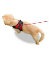 Copatchy No Pull Reflective Dog Harness (Small, red)