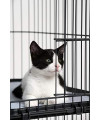 Prevue Pet Products Replacement Platform Shelf for 7500 & 7501 cat Cages, Black (7503)