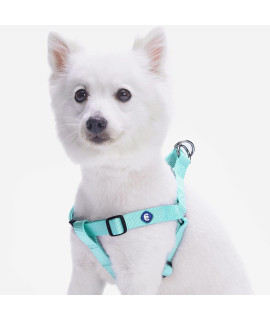 Blueberry Pet Essentials Classic Durable Solid Nylon Step-In Dog Harness, Chest Girth 26 - 39, Mint Blue, Large, Adjustable Harnesses For Puppy Boy Girl Dogs