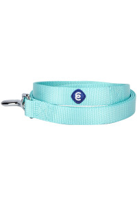 Blueberry Pet Essentials 21 Colors Durable Classic Dog Leash 5 Ft X 58, Mint Blue, Small, Basic Nylon Leashes For Dogs