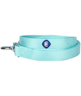 Blueberry Pet Essentials 21 Colors Durable Classic Dog Leash 5 Ft X 58, Mint Blue, Small, Basic Nylon Leashes For Dogs