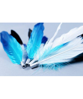 Pidan Studio Cat Teaser Wand Feather Refill Interactive Toys Premium Quality Water-Dyed With Natural Color