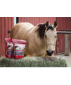 Flix 9 lb, 100% Flaxseed Healthy Treats for Horses, High in Omega-3