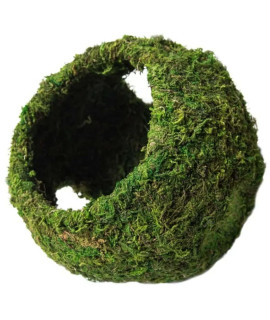 Galapagos 05344 Mossy Cave with Holes for Aquarium, 7.5, Green (759834053446)