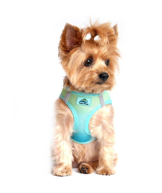 Doggie Design American River Step In Mesh Choke Free Dog Harness Ombre Collection - Aruba Blue (2XL/3XL)