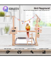 QBLEEV Parrot Playstand Bird Play Stand Cockatiel Playground Wood Perch Gym Playpen Ladder with Feeder Cups Toys Exercise Play (Include a Tray) (16 L*10 W*15 H)