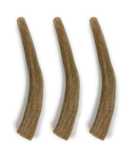 Deer Antlers for Dogs - Premium grade A, Naturally Shed Antlers Long Lasting Dog Bones for Aggressive chewers & Teething Puppies chew Toys for All Breeds USA Made (Medium: 5-6, 3-Pack)