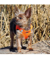DOGGIE DESIGN American River Step in Wrap Up Ultra Choke-Free Mesh Dog Harness with Safe Night Walking Reflective Strips (Soft Mesh Polyester, Machine Wash and Line Dry) (2XL/3XL, Hunter Orange)