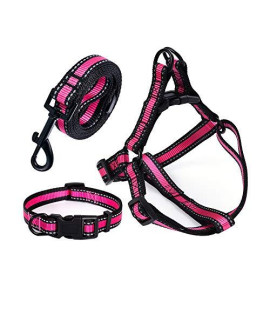 Mile High Life Night Reflective Double Adjustable Band Nylon Small Puppy Pet Dog Combo Collar Leash and Harness Set (Reflective Stripe Pink, Small (Pack of 3))