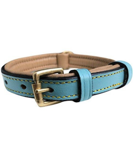 Soft Touch Collars Small Leather Padded Dog Collar, Turquoise with Beige Padding,16 Long x 5/8 Wide, Neck Size 11 to 13.5