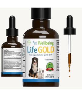 Pet Wellbeing Life gold for cats - Vet-Formulated - Immune Support and Antioxidant Protection - Natural Herbal Supplement 2 oz (59 ml)