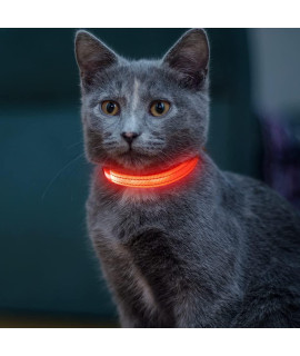 Vizpet LED cat Dog collar USB Rechargeable & XS Adjustable Size Nylon collar Bright Safety Pet collar for Small cats & Dogs (Red)