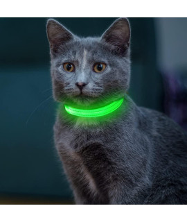 Led Dog collar, USB Rechargeable Safety Pet collar with 2 Reflective Stripe, Adjustable Dog Necklace for Small Dogs and cats by Vizpet ( green, XS)