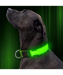 Illumifun LED Dog Collar, USB Rechargeable Glowing Safety Collar, Nylon Adjustable Light Up Collar Make Your Dog Be Visible& Safe in The Dark(Green, Medium)