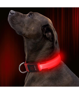 Illumifun Nylon LED Dog collar - USB Rechargeable glowing Puppy collar, Adjustable Light Up Pet collars Make Your Dogs Safe& Seen at Night (Red, Small)