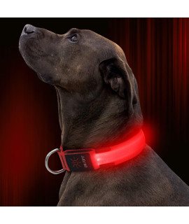 Illumifun LED Dog collar, USB Rechargeable Lighted Dog collar, Nylon Webbing glowing Safety Dog collar Make Your Dogs Safe& Seen Walking at Night(Red, Large)