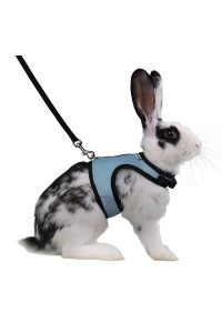 Niteangel Adjustable Soft Harness with Elastic Leash for Rabbits (XL, Blue)