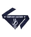 Littlearth Unisex-Adult NHL Tampa Bay Lightning Pet Bandana, Team color, Medium