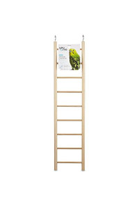 Petco Brand - You & Me Bird 9-Step Wood Bird Ladder, 18 L, 18 in