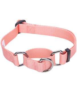 Blueberry Pet Essentials Martingale Safety Training Dog Collar, Baby Pink, Large, Heavy Duty Nylon Adjustable Collars For Dogs