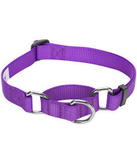 Blueberry Pet Essentials Martingale Safety Training Dog Collar, Dark Orchid, Small, Heavy Duty Nylon Adjustable Collars For Dogs
