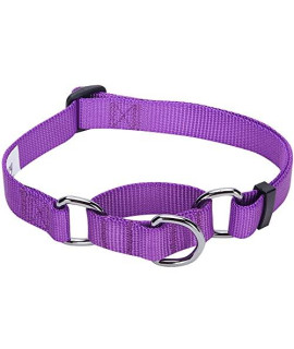 Blueberry Pet Essentials Safety Training Martingale Dog Collar, Dark Orchid, Medium, Heavy Duty Nylon Adjustable Collars For Boy And Girl Dogs